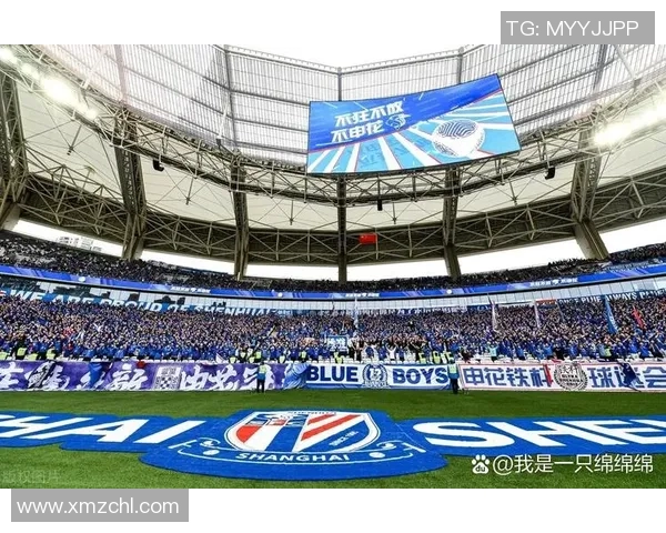 丽江飞虎迎战上海申花力争主场胜利展现球队实力与斗志