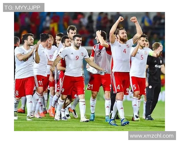 格鲁吉亚与爱尔兰足球赛前瞻分析及双方实力对比探讨 格鲁吉亚与爱尔兰足球赛前瞻分析及双方实力对比探讨