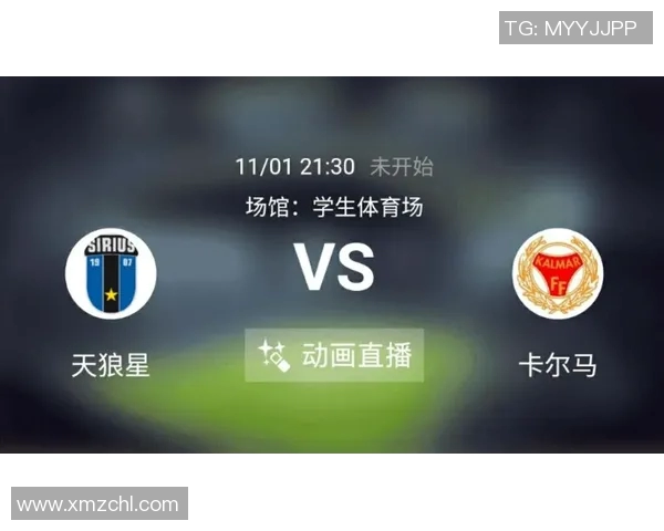 2018年卡尔马对阵天狼星比赛最新动态与精彩回顾分析