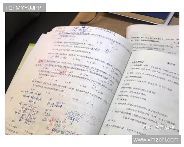 广州羽毛球队与南京羽毛球队赛后复盘团队协作的成功与不足分析MBA