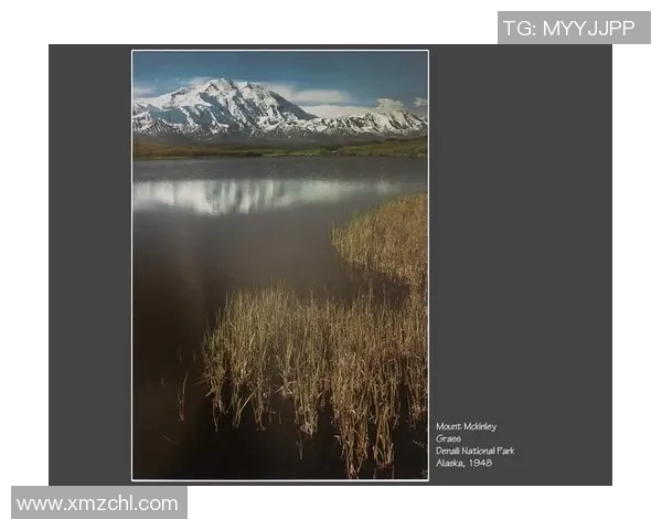 亚当斯的传奇旅程探索他在科学与艺术领域的卓越贡献与影响 亚当斯的传奇旅程探索他在科学与艺术领域的卓越贡献与影响