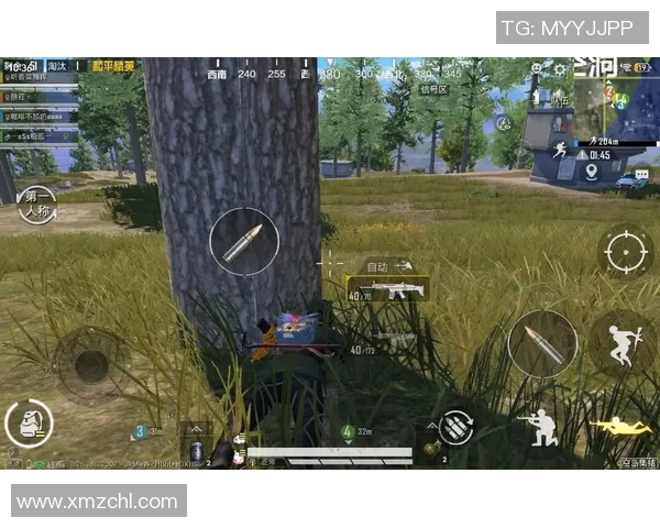 从零开始掌握和平精英全方位策略与技巧指南助你成为游戏高手