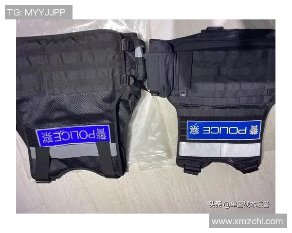 南京排球队防反战术深度解析与实战应用探讨