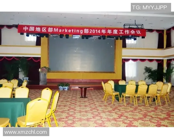 成都乒乓球队运营分析：成功经验与面临挑战的深度探讨