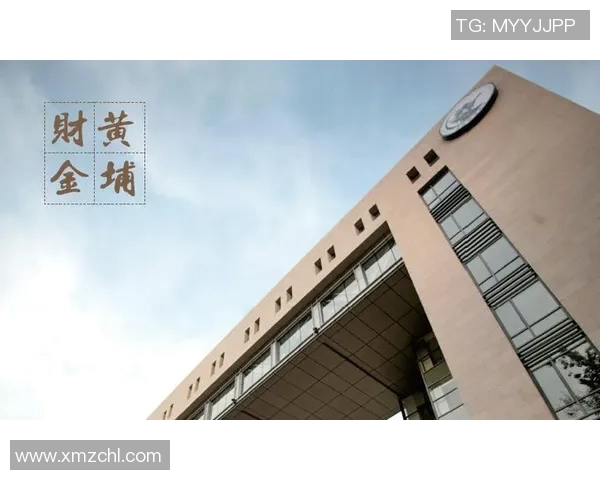 成都极限运动队状态分析与表现评估的全面研究与探讨MBA